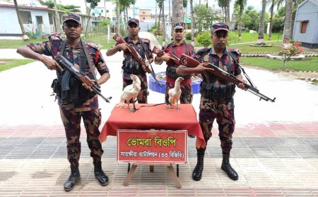 সাতক্ষীরা সীমান্ত থেকে দুটি ফাইটার মোরগসহ ভারতীয় বিভিন্ন মালামাল জব্দ