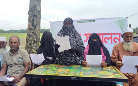 মহিপুরে আদালতের আদেশ অমান্য করে স্থাপনা নির্মাণের অভিযোগে সংবাদ সম্মেলন