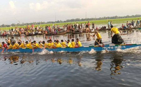 গোপালপুরের নিউ আশুলিয়ার নৌকা বাইচে হাজারো মানুষের ঢল