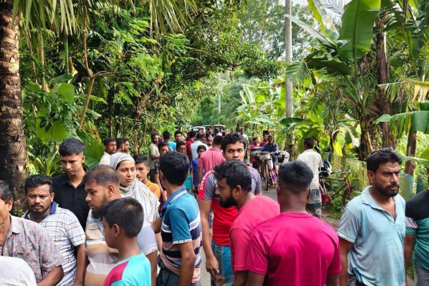 সাতক্ষীরার কালিগঞ্জে ট্রাকচাপায় শিশুর মর্মান্তিক মৃত্যু,  ট্রাক জব্দ, চালক আটক