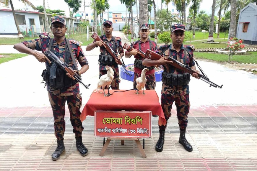সাতক্ষীরা সীমান্ত থেকে দুটি ফাইটার মোরগসহ ভারতীয় বিভিন্ন মালামাল জব্দ