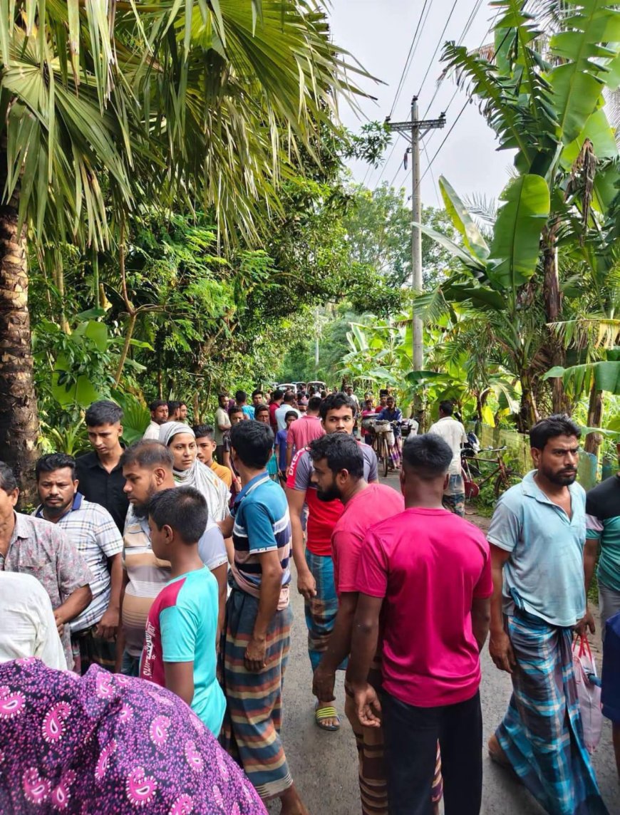 সাতক্ষীরার কালিগঞ্জে ট্রাকচাপায় শিশুর মর্মান্তিক মৃত্যু,  ট্রাক জব্দ, চালক আটক